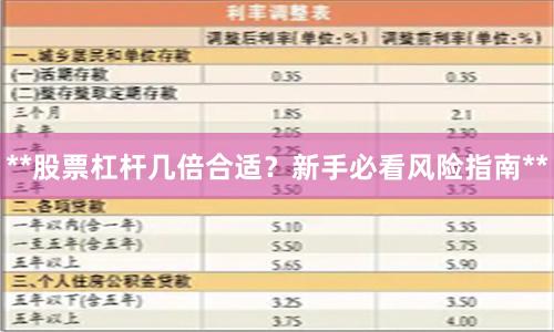 **股票杠杆几倍合适？新手必看风险指南**